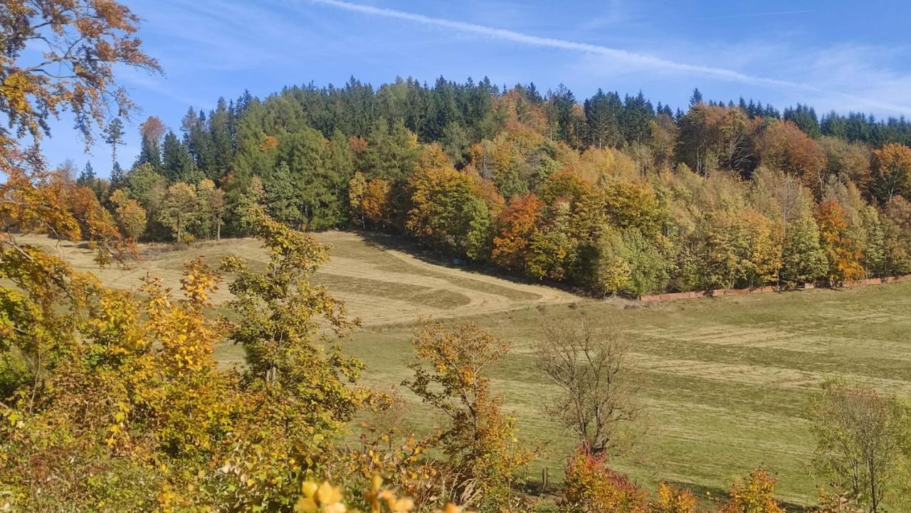 Apartment Spekane Skaly - *